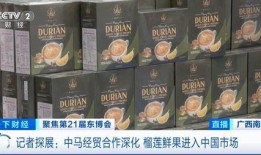 榴莲月饼爆料视频下载安装