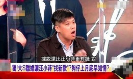 是谁爆料的汪小菲视频在线观看,揭秘幕后爆料者身份之谜