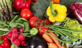 爆料辽宁蔬菜种子视频